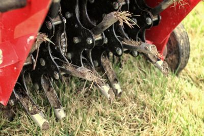 Core Aeration - Lawn Aeration Maui County, Hawaii