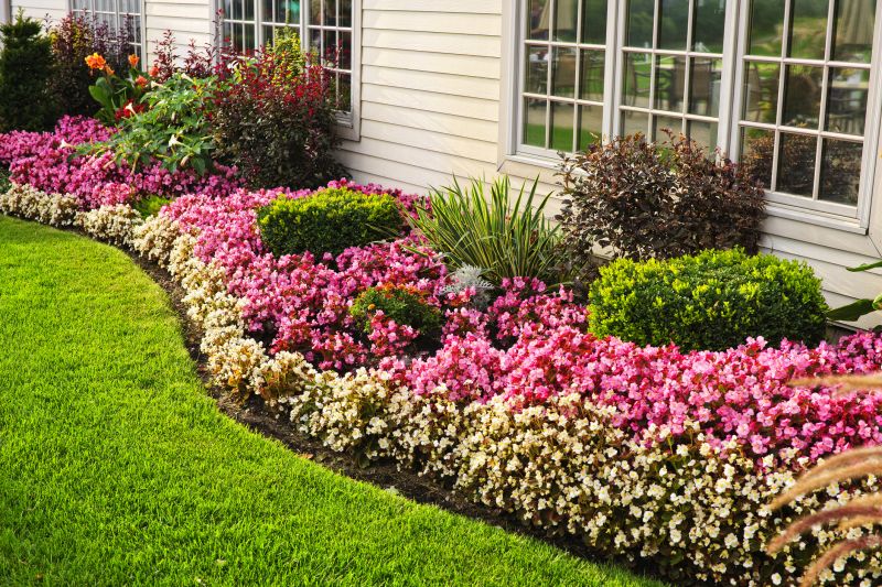 Boxwood Planting in Honolulu, HI