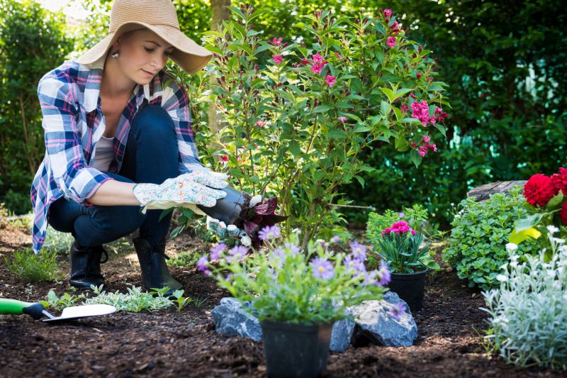 Bush Installation in Ventura County, CA