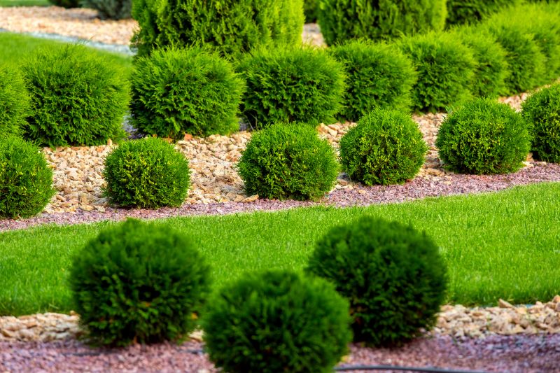 Bush Installation in Ventura County, CA