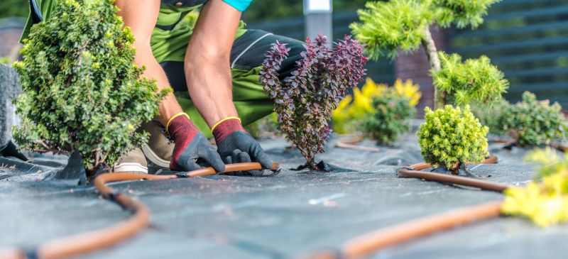 Bush Landscaping in Ventura County, CA