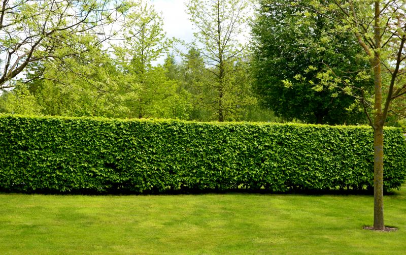 Bush Landscaping in Ventura County, CA