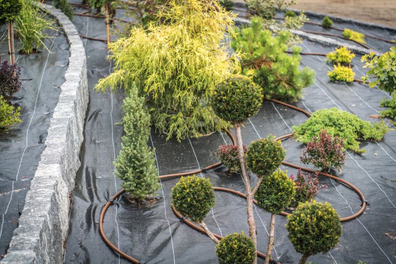 Concrete Landscaping in Honolulu, HI