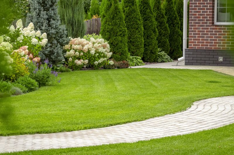 Deck Landscaping Service in Ventura County, CA