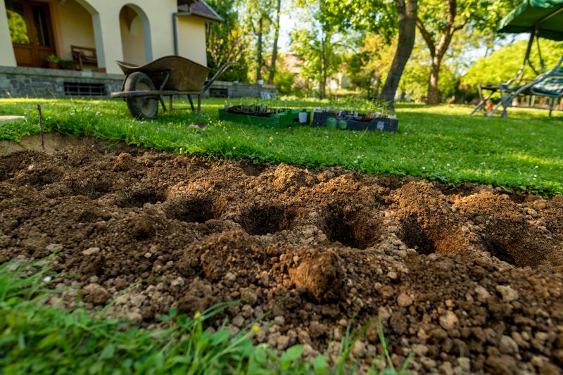 Garden Care Service in Ventura County, CA