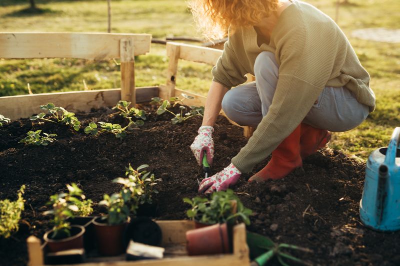 Garden Care Service in Ventura County, CA