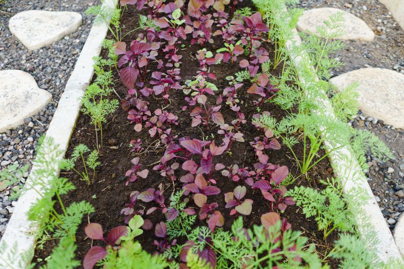Garden Curbing Service in Citrus County, FL
