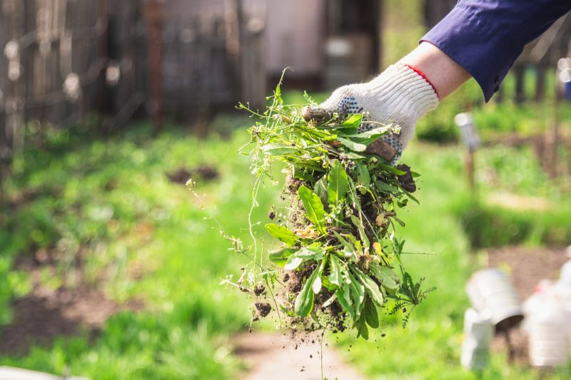 Garden Maintenance Service in Ventura County, CA