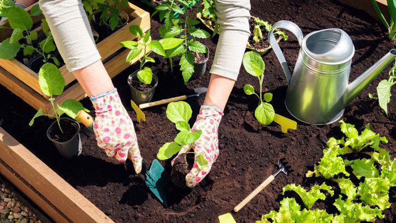 Garden Planting Service in Ventura County, CA