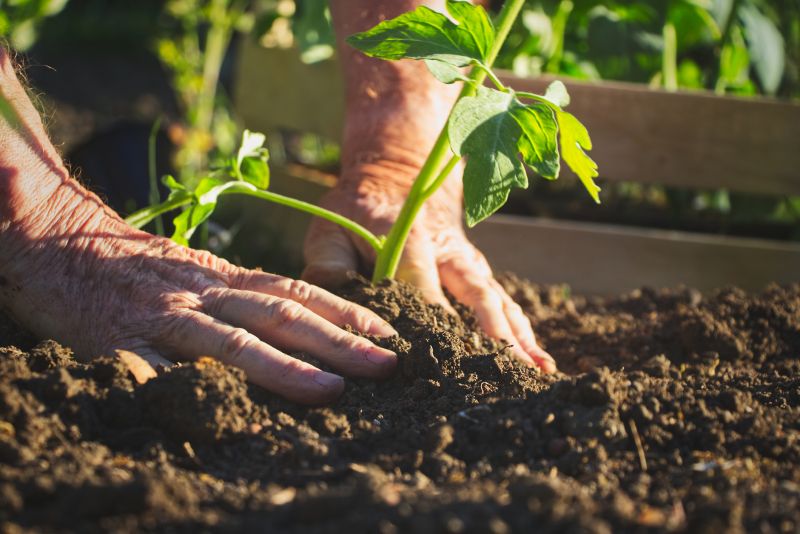 Garden Planting Service in Ventura County, CA