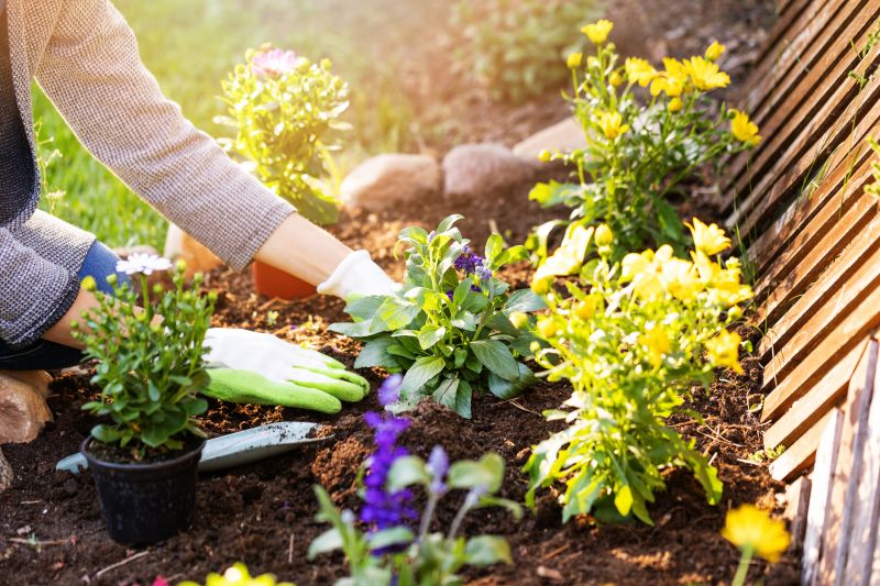 Ground Cover Planting in Ventura County, CA