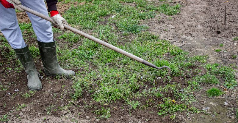 Home Gardening Service in Honolulu, HI