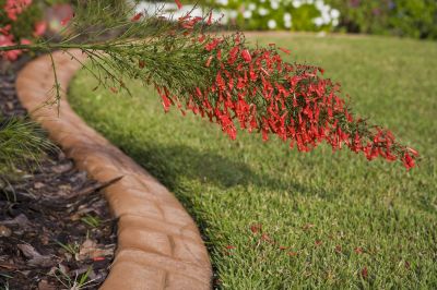 Lawn Curbing Service in Honolulu, HI