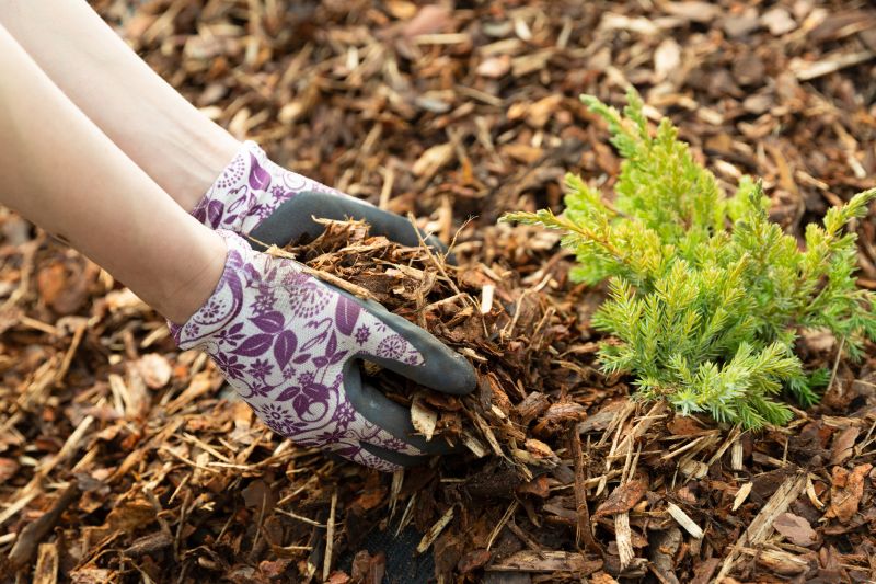 Organic Mulch Installation in Ventura County, CA