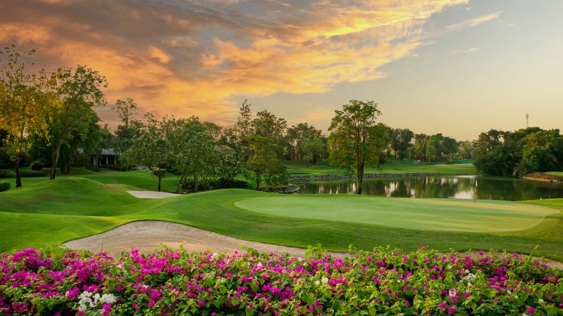 Park Landscape Maintenance in Honolulu, HI