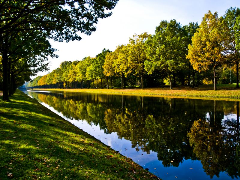 Pond Landscaping Service in Honolulu, HI