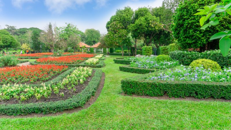 Privacy Shrub Planting in Honolulu, HI