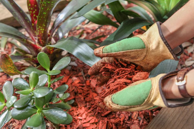 Shredded Mulch Service in Honolulu, HI