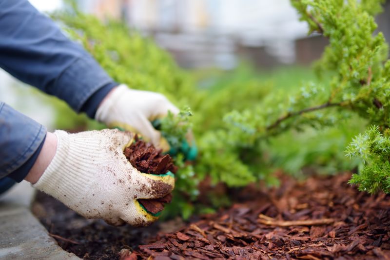 Shredded Mulch Service in Honolulu, HI