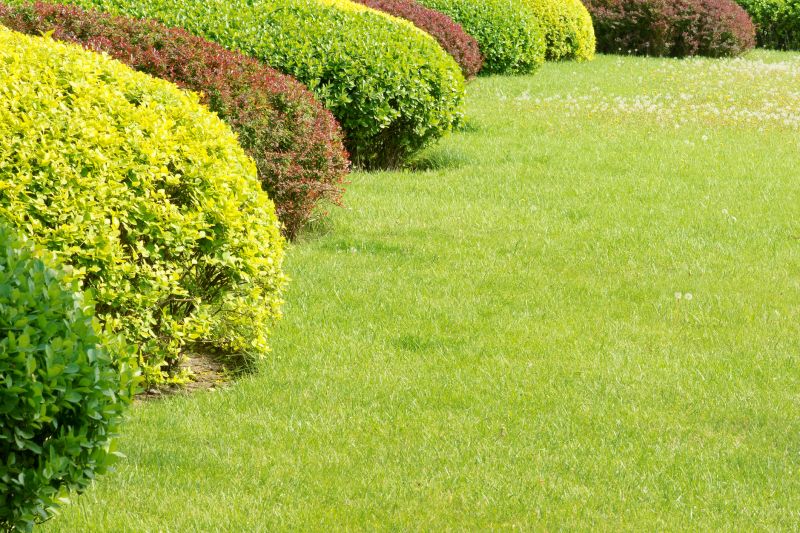 Shrub Landscaping in Honolulu, HI