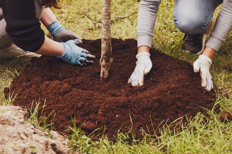Tree Planting Service in Ventura County, CA