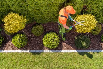 Low Maintenance Front Yard Landscaping - Landscaping Service Fayetteville, Georgia