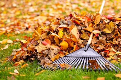 Fall Leaf Removal - Leaves Removal Albuquerque, New Mexico