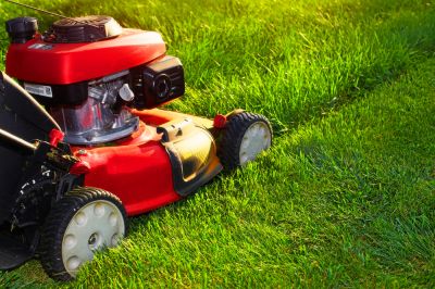 Weed Mowing - Lawn Mowing King County, Washington