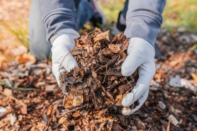 Cypress Mulch Installation