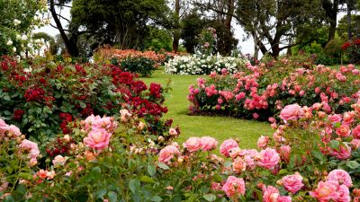 Flower Planting - Planting Services Sullivan County, New York