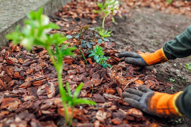 Brown Mulch Installation in Honolulu, HI