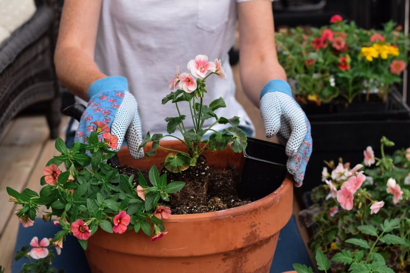 Garden Planting Service in Ventura County, CA